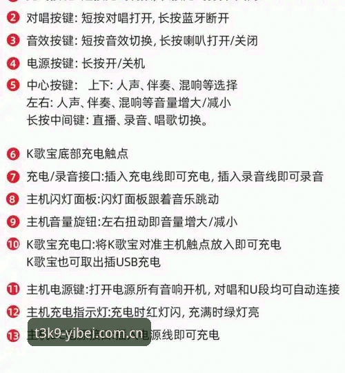 如何掌握易贝T3K9功能使用技巧，提升观赛体验？